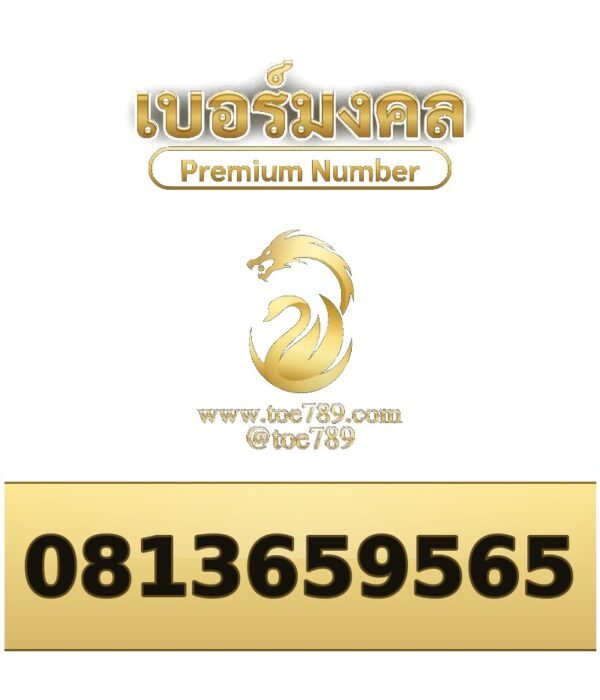 081-365-9565