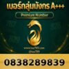 083-828-9839 เบอร์กลุ่มมังกร A+++