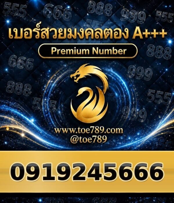 091-924-5666