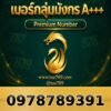 097-878-9391 เบอร์กลุ่มมังกร A+++