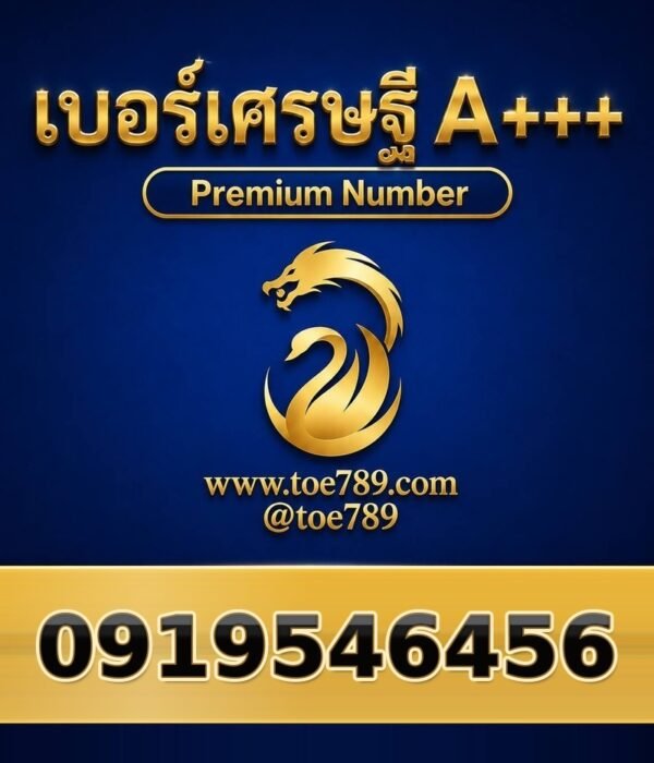091-954-6456